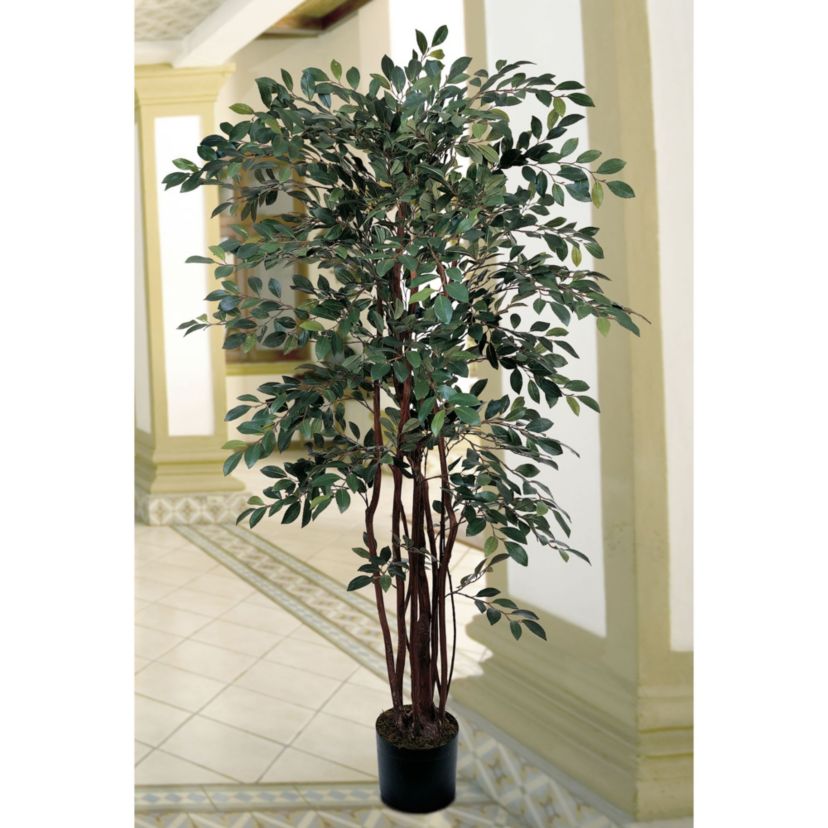 4 Ruscus Silk Tree