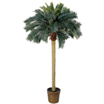 6-Foot Sago Palm Silk Tree