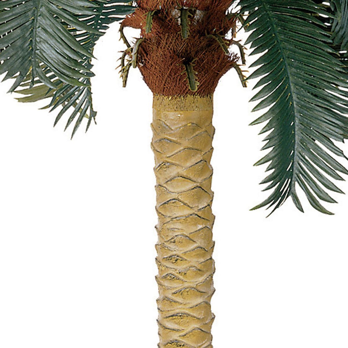 6-Foot Sago Palm Silk Tree