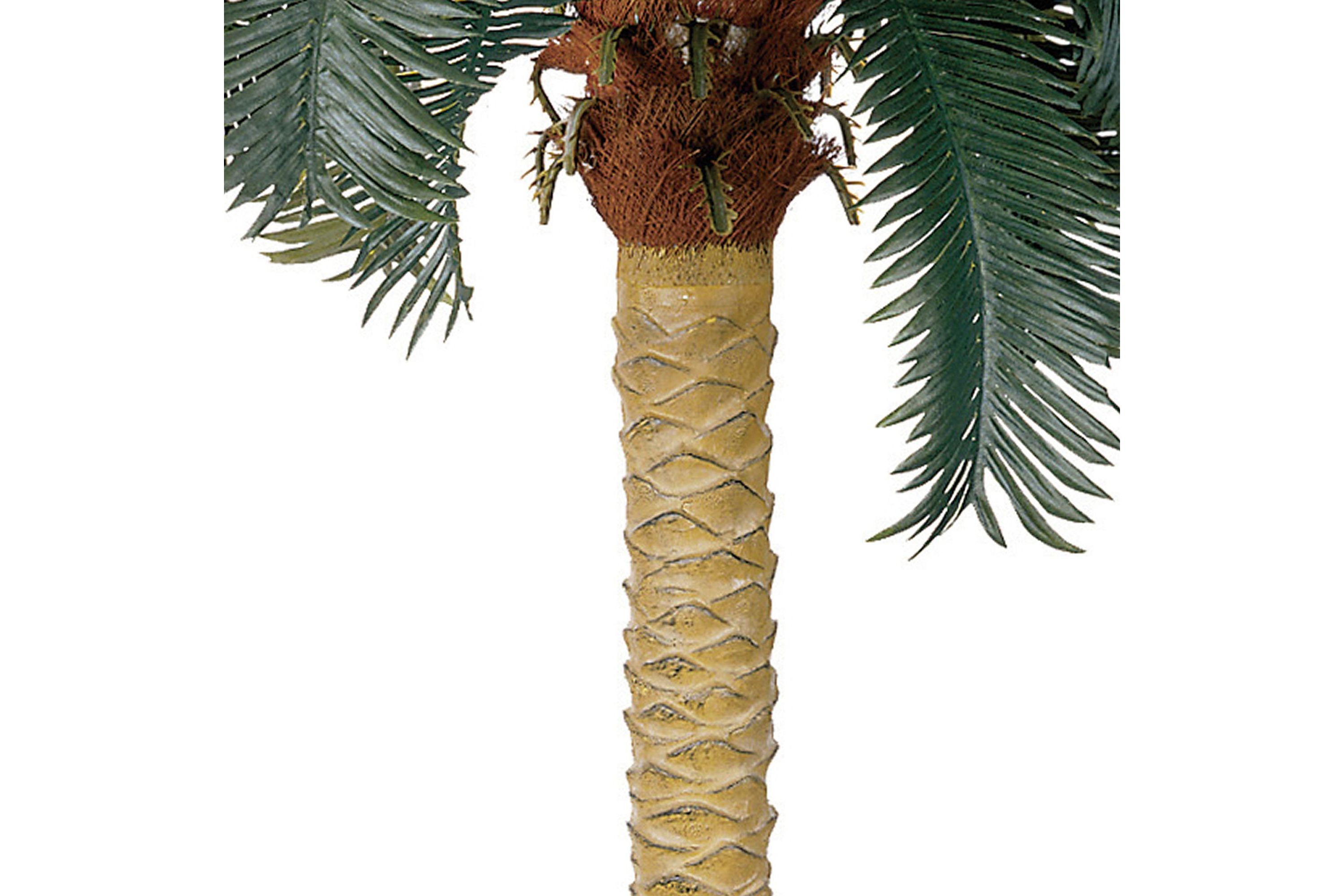 6-Foot Sago Palm Silk Tree