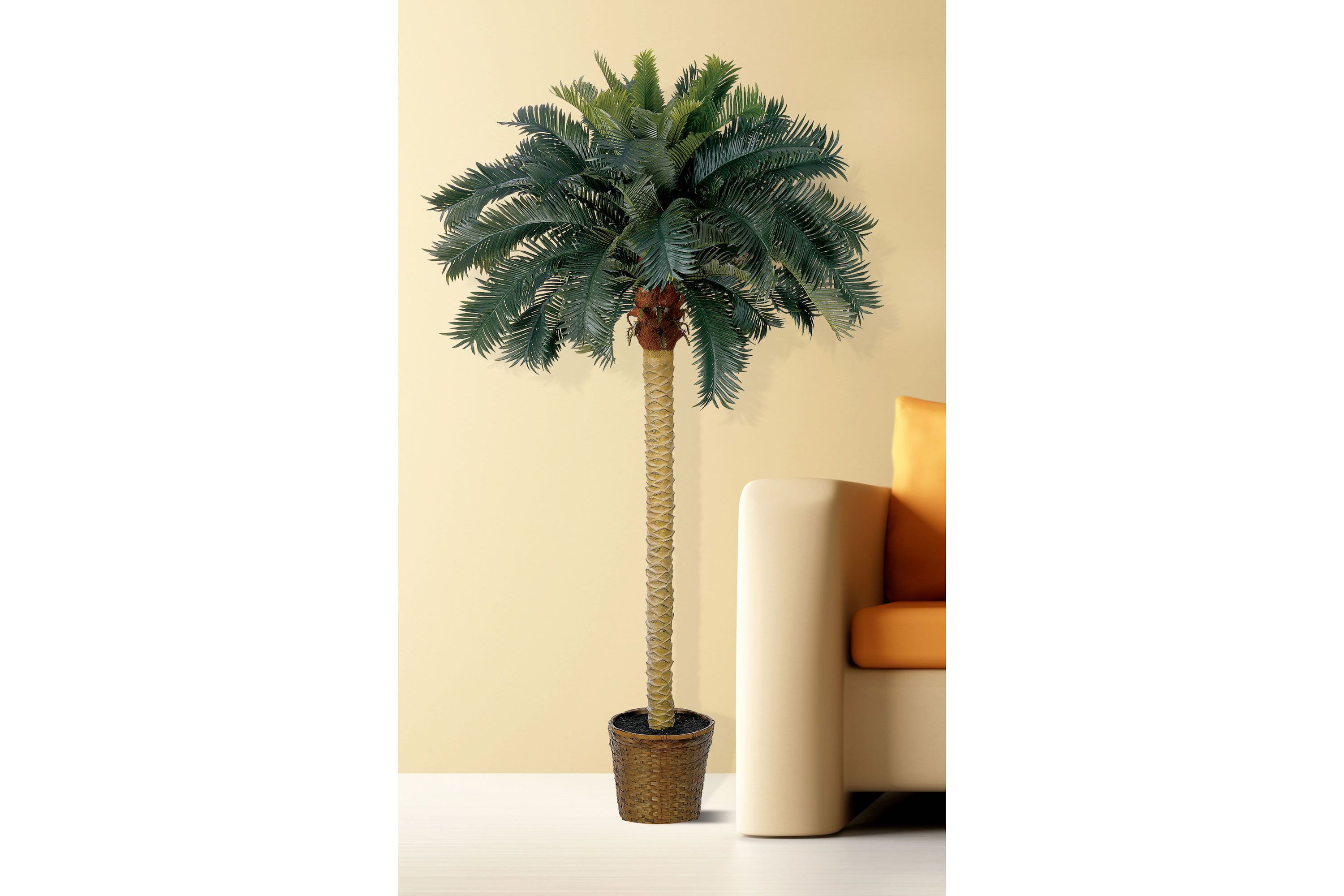 6-Foot Sago Palm Silk Tree