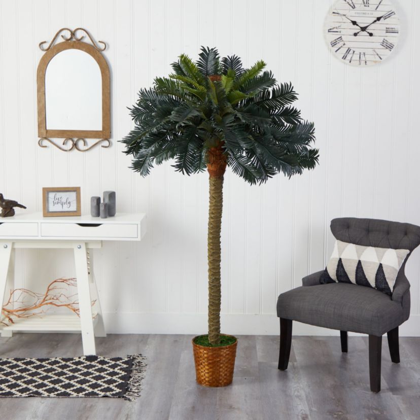 6-Foot Sago Palm Silk Tree