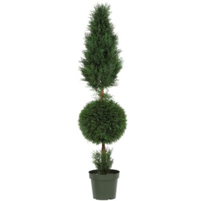 5' Cypress Ball and Cone Silk Tree - Indoor/Outdoor