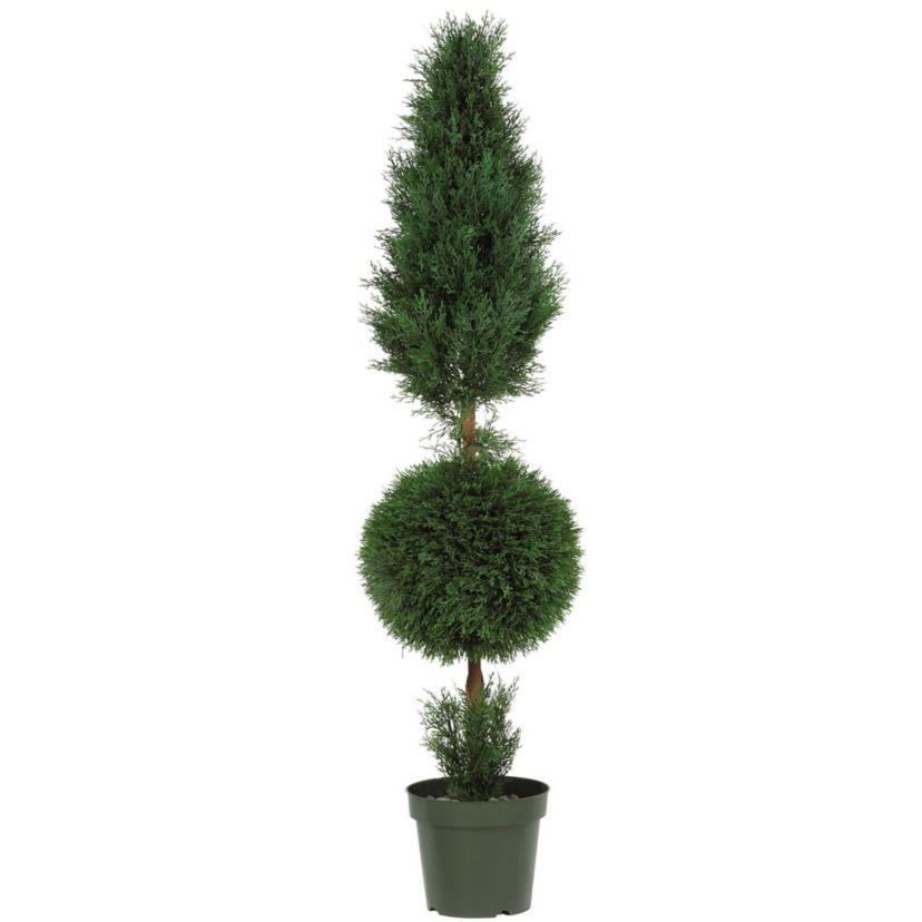 5 Cypress Ball and Cone Silk Tree - Indoor/Outdoor