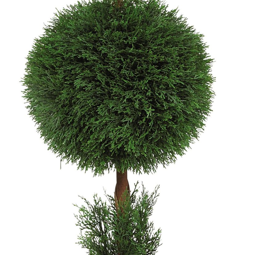 5 Cypress Ball and Cone Silk Tree - Indoor/Outdoor