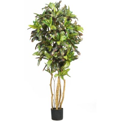 Nearly Natural 5' Croton Silk Tree, Green