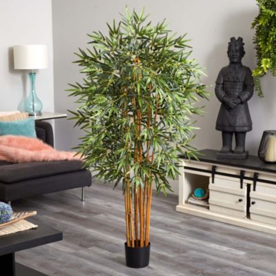 5' Curved Bamboo Silk Tree