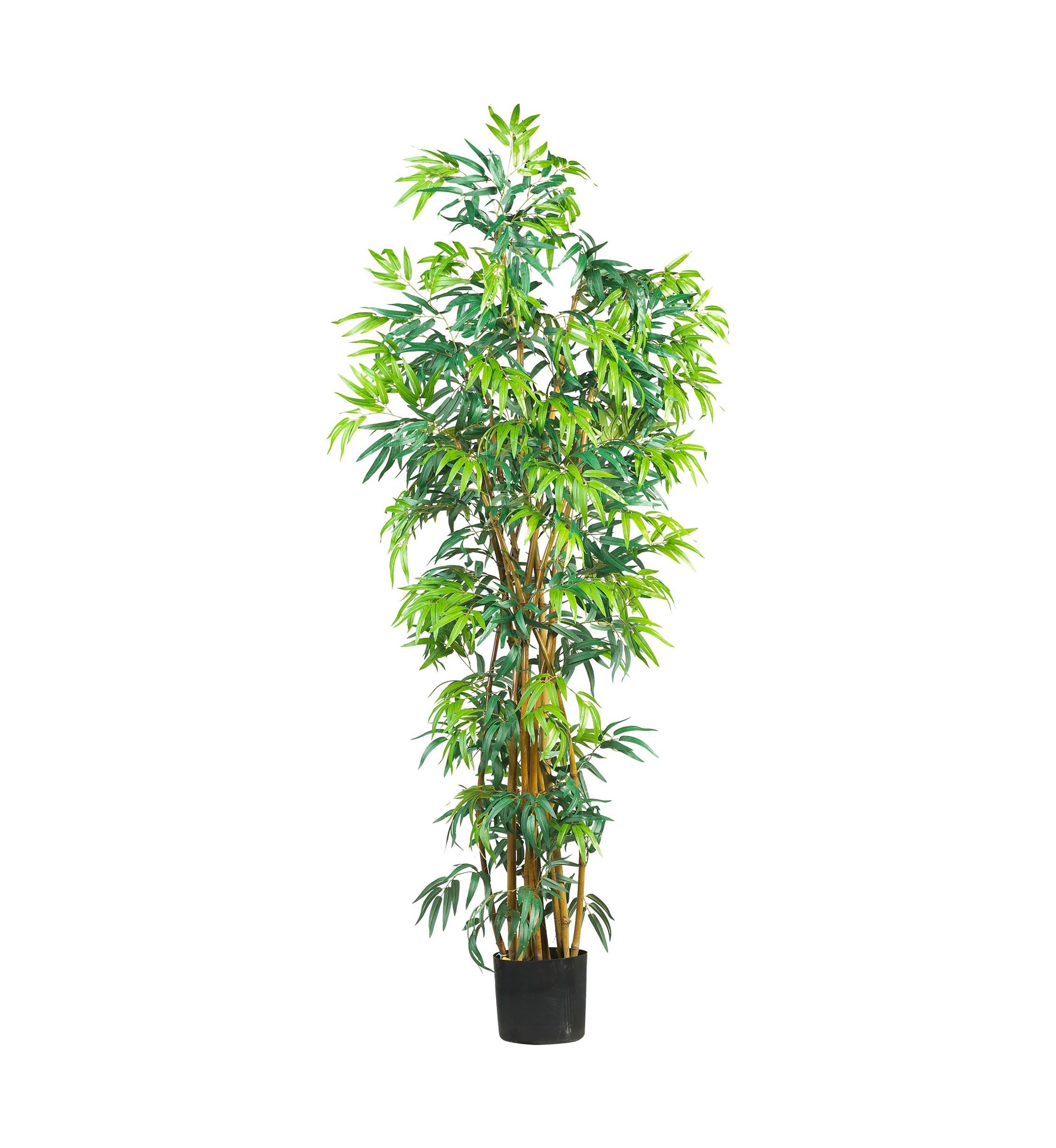6 Curved Bamboo Silk Tree