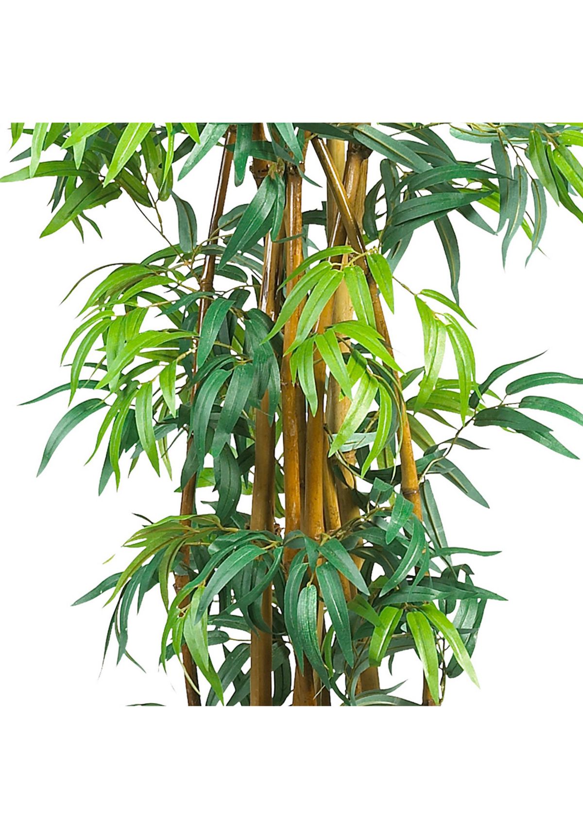 6 Curved Bamboo Silk Tree