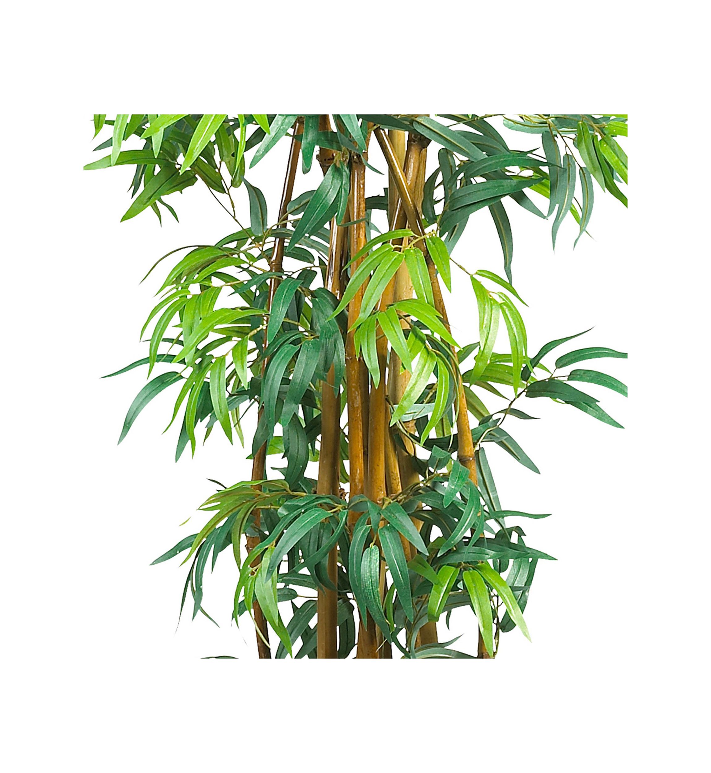 6 Curved Bamboo Silk Tree