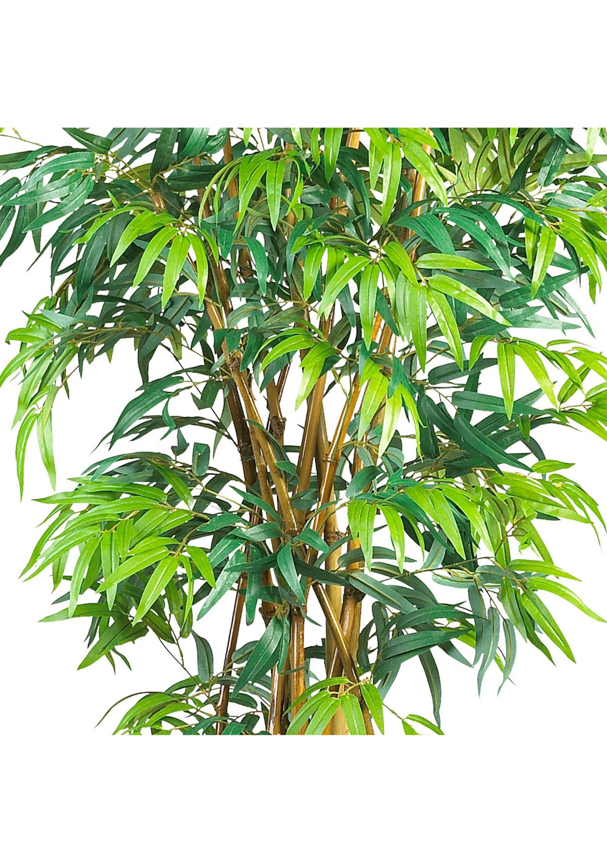 6 Curved Bamboo Silk Tree