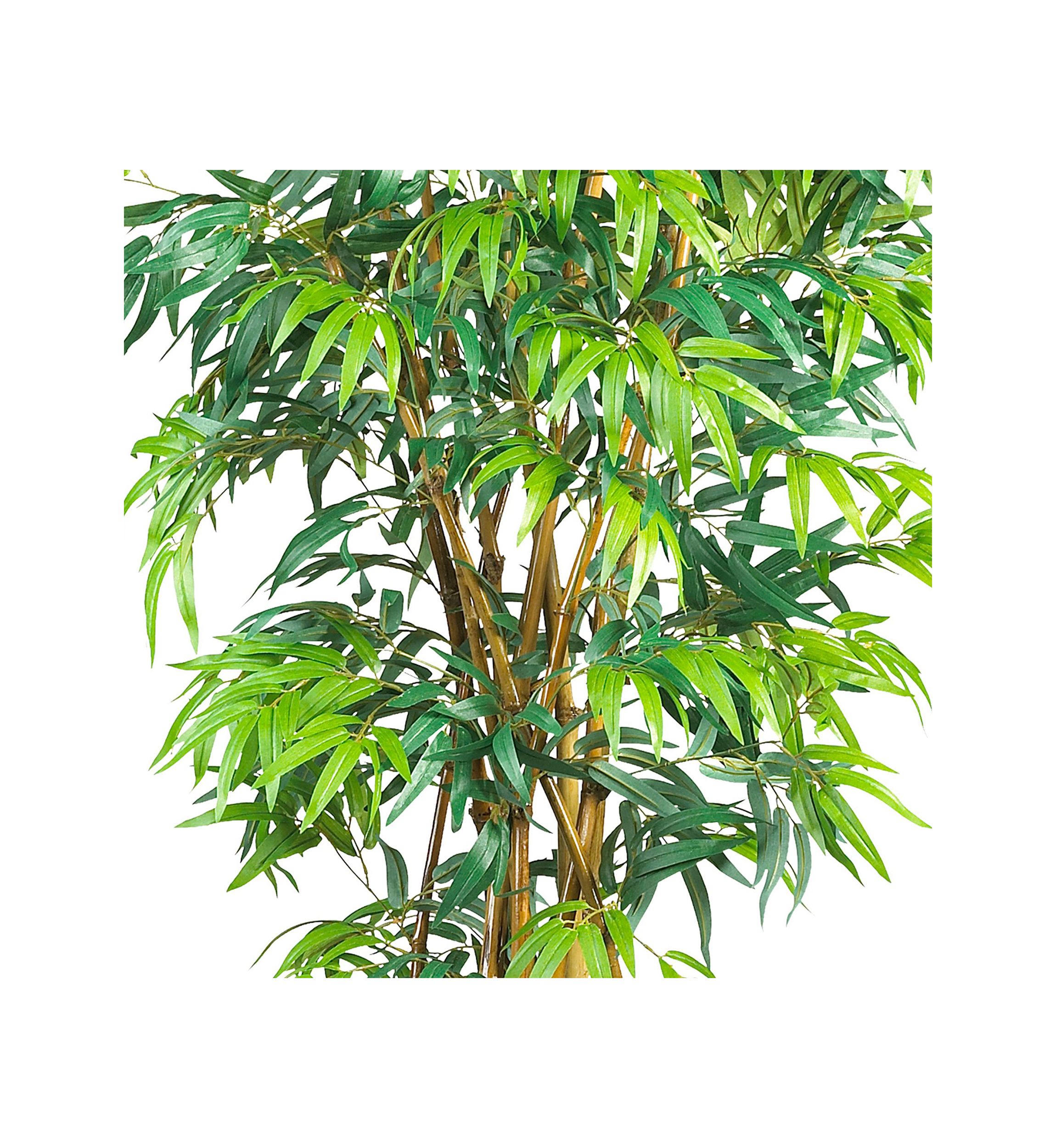 6 Curved Bamboo Silk Tree