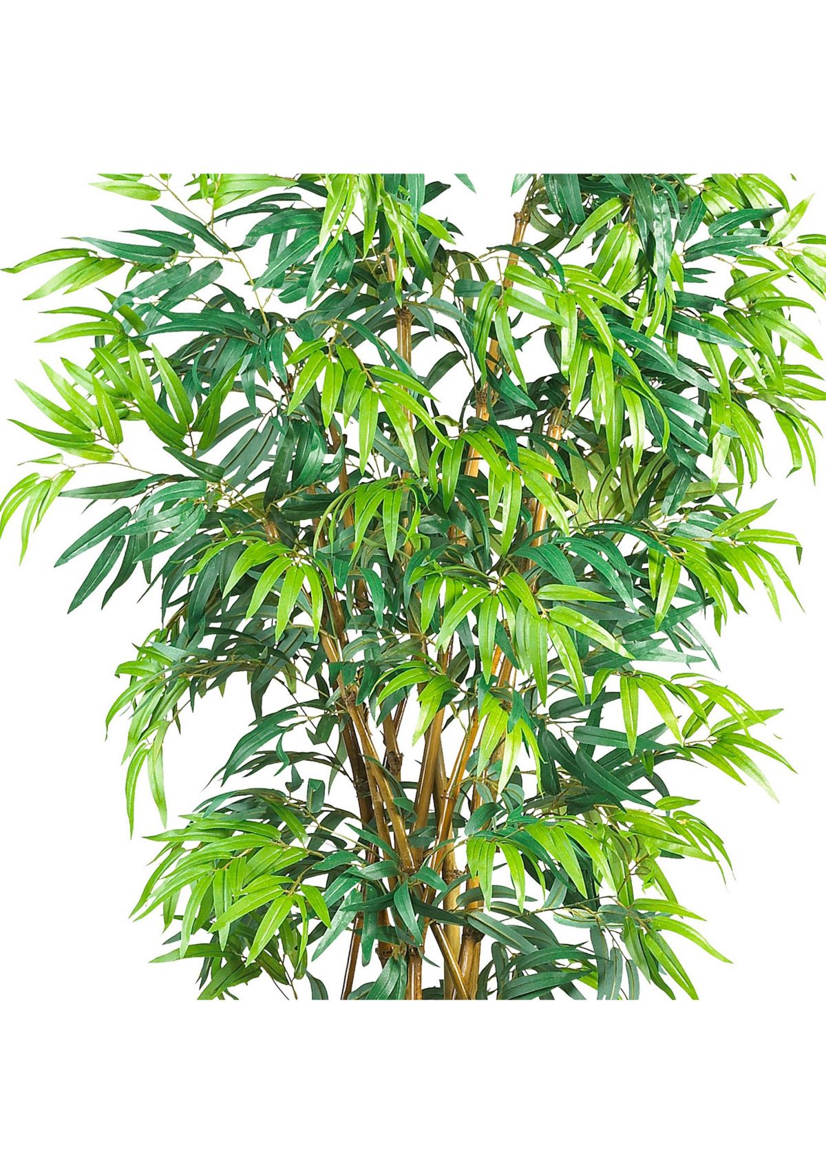 6 Curved Bamboo Silk Tree
