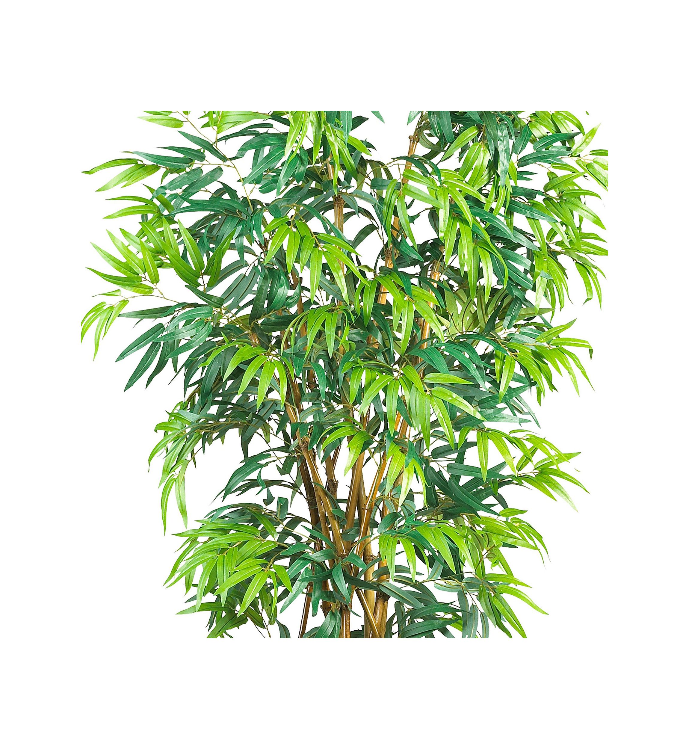 6 Curved Bamboo Silk Tree