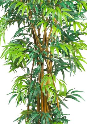 6' Curved Bamboo Silk Tree