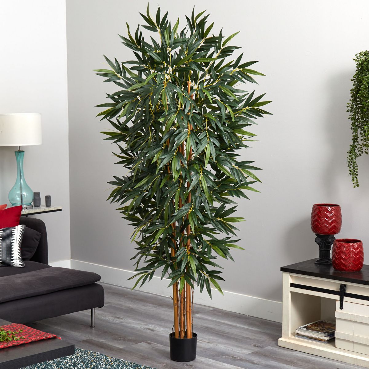 6 Big Bamboo Silk Tree
