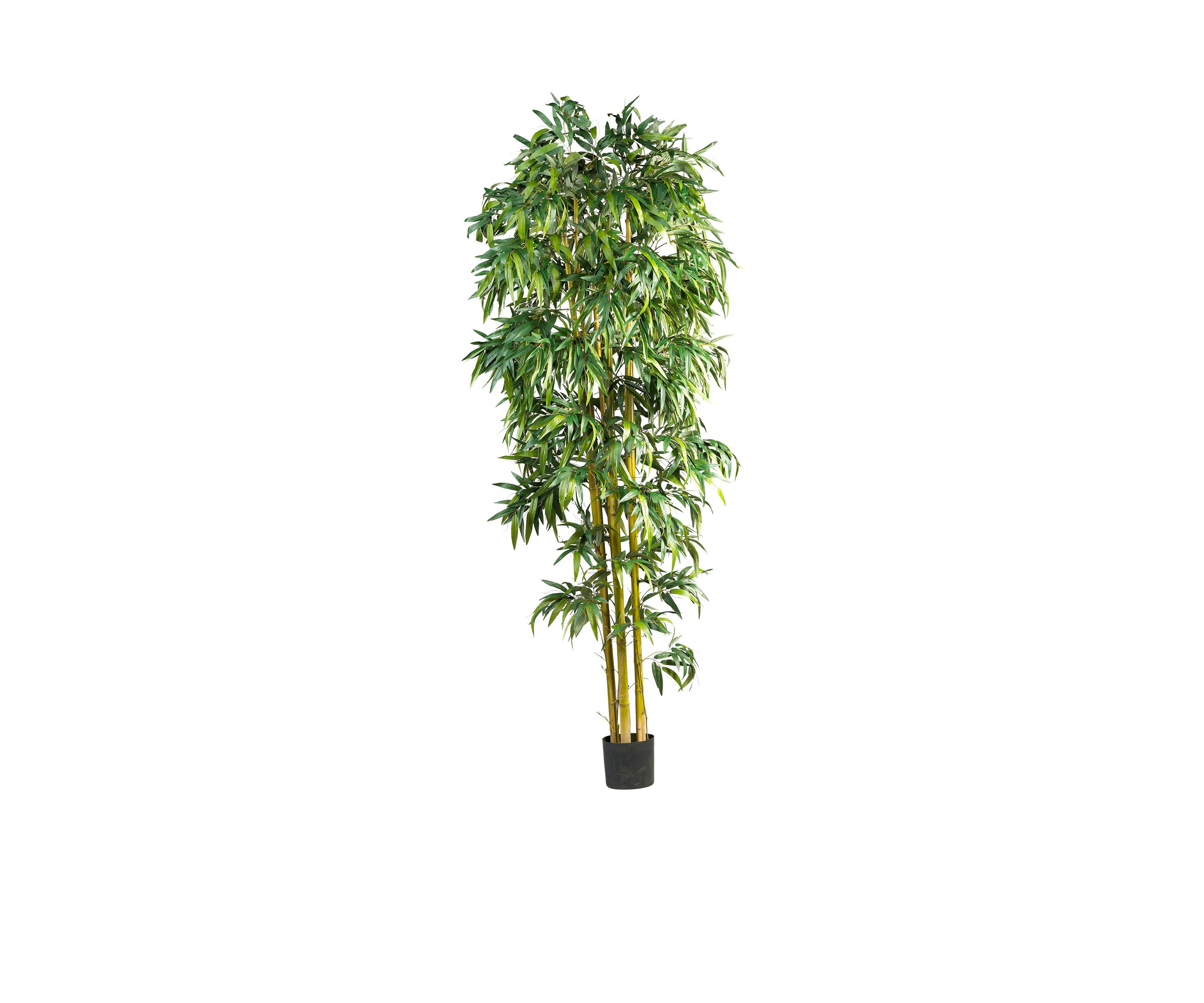 8-Foot Biggy Style Bamboo Tree