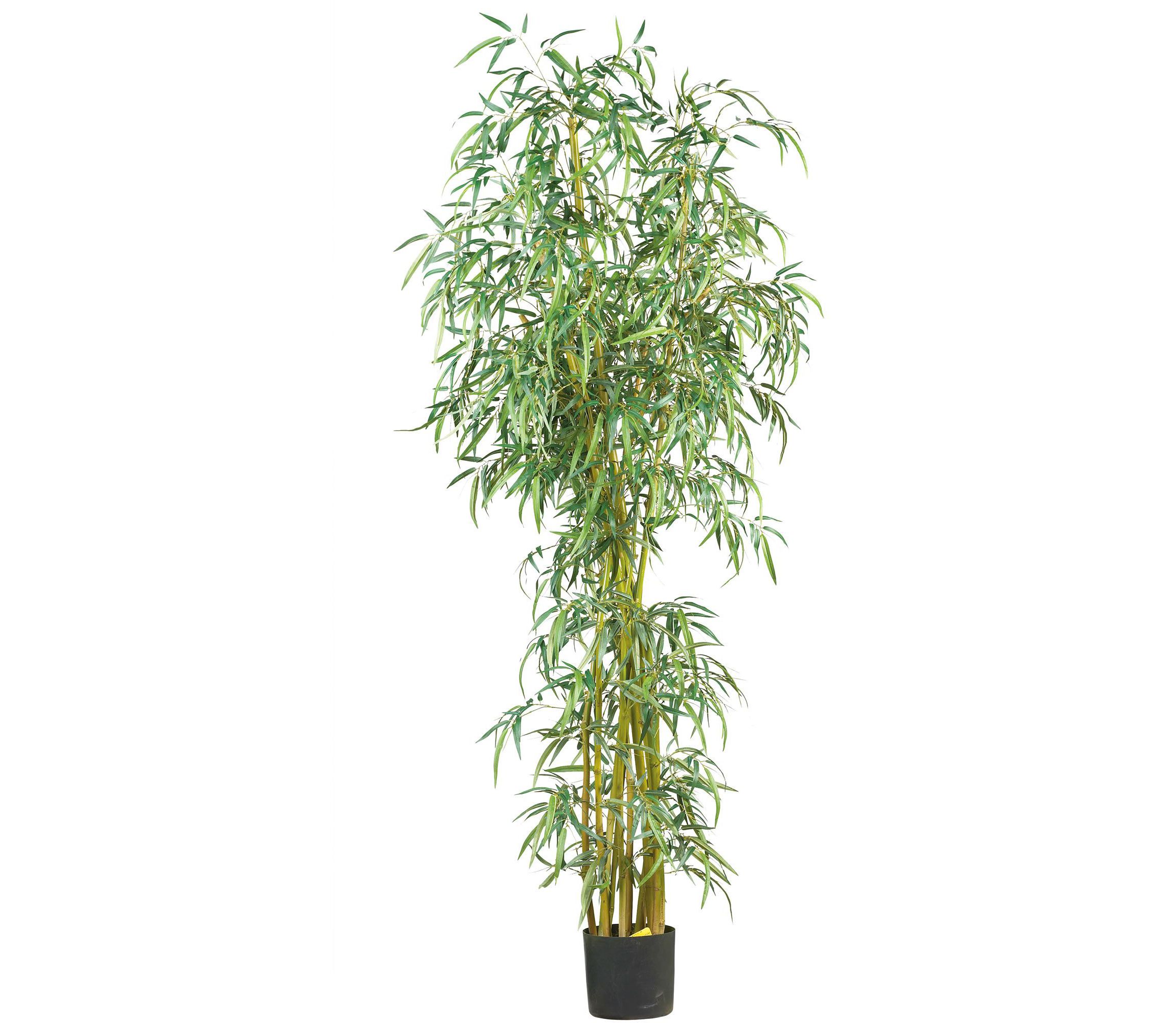 7-Foot Curved Slim Bamboo Silk Tree