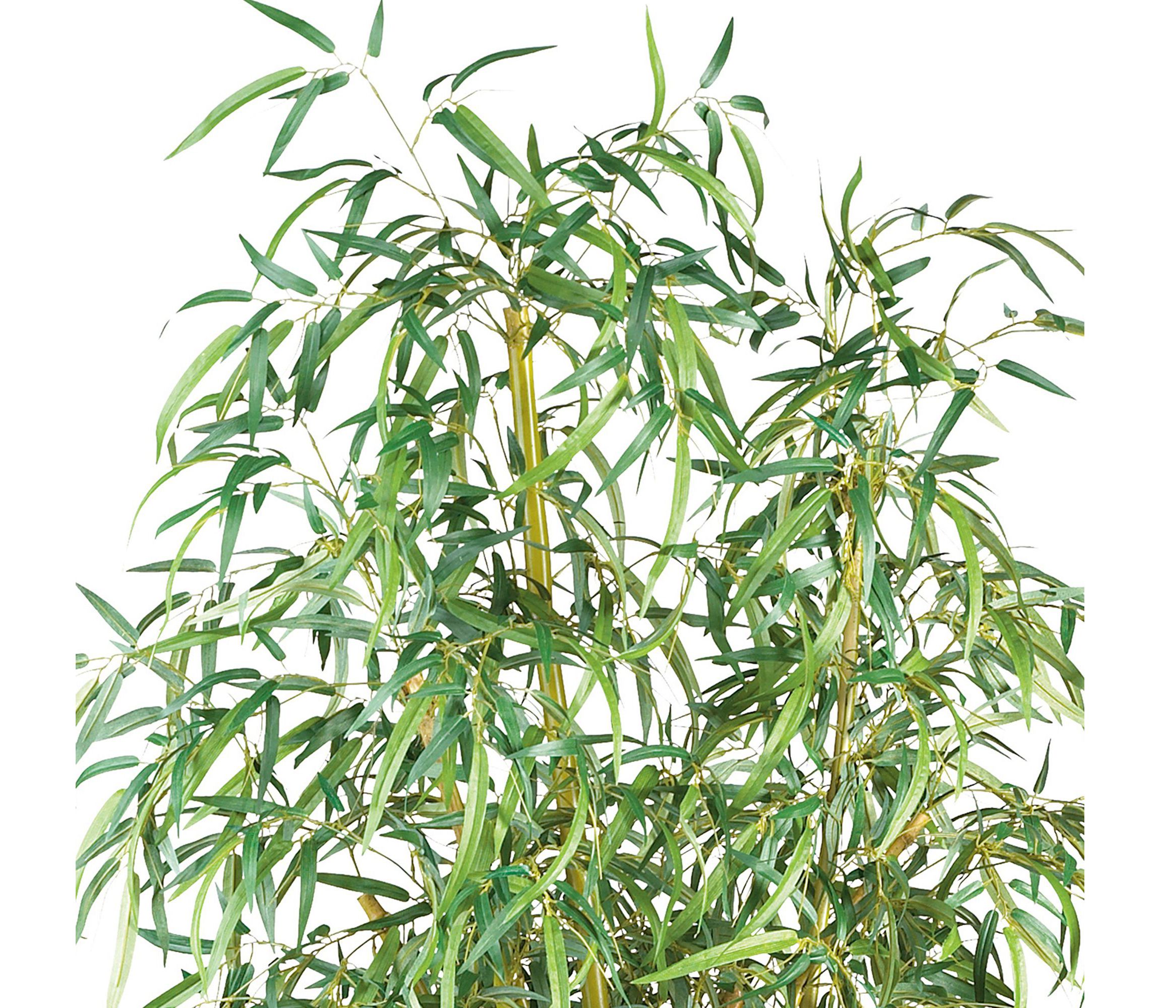 7-Foot Curved Slim Bamboo Silk Tree