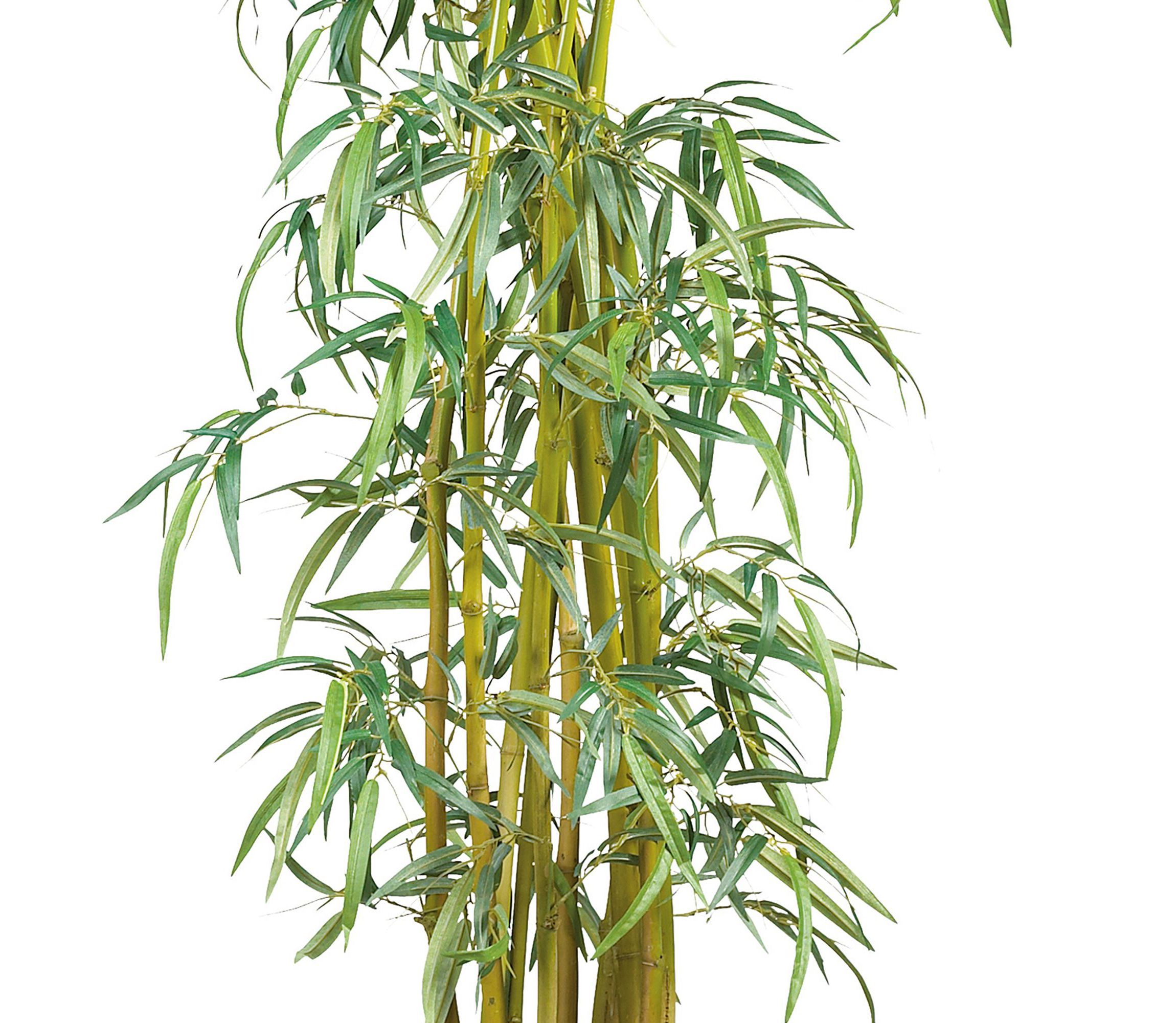 7-Foot Curved Slim Bamboo Silk Tree