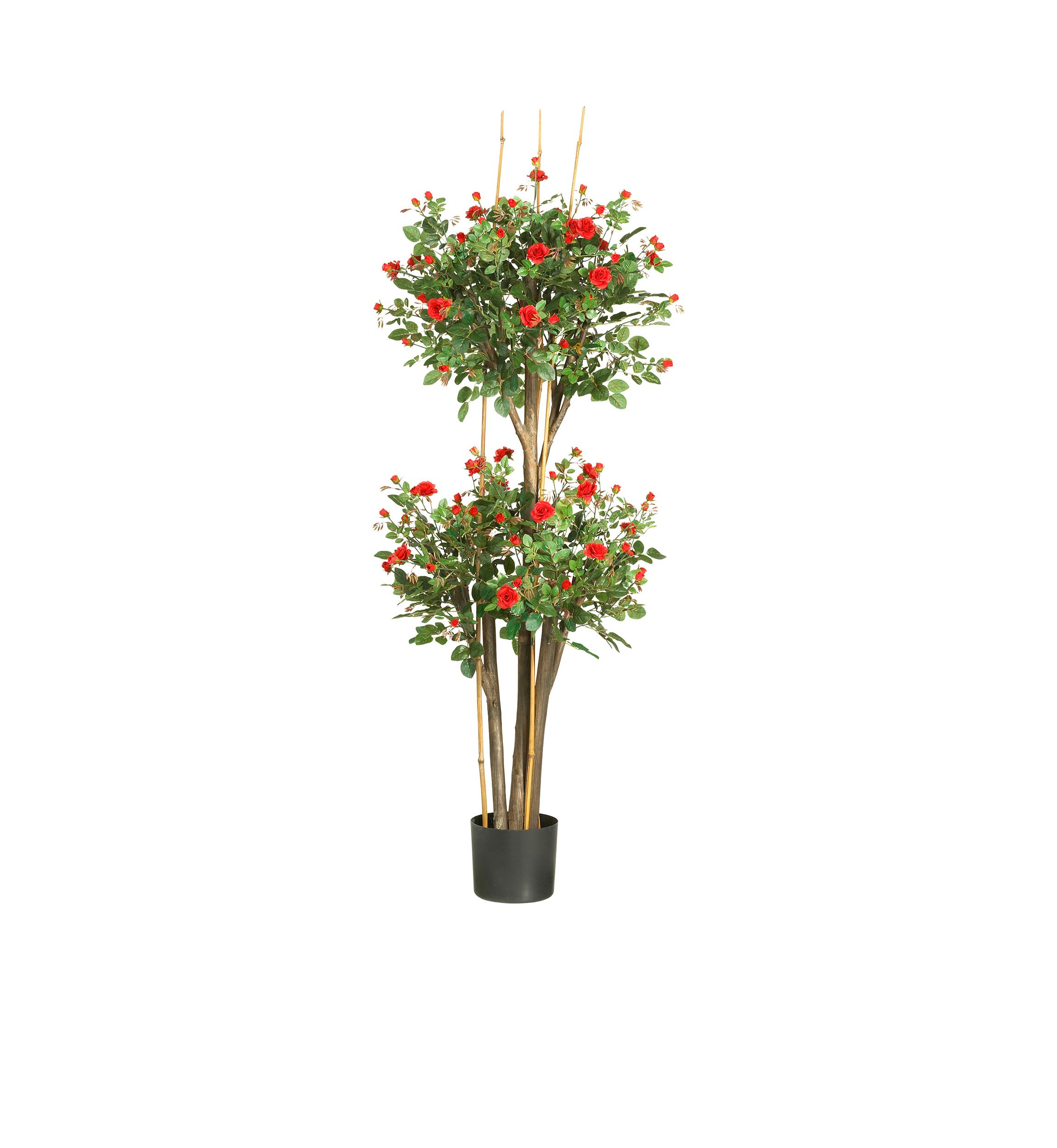 5-Foot Mini Rose Silk Tree