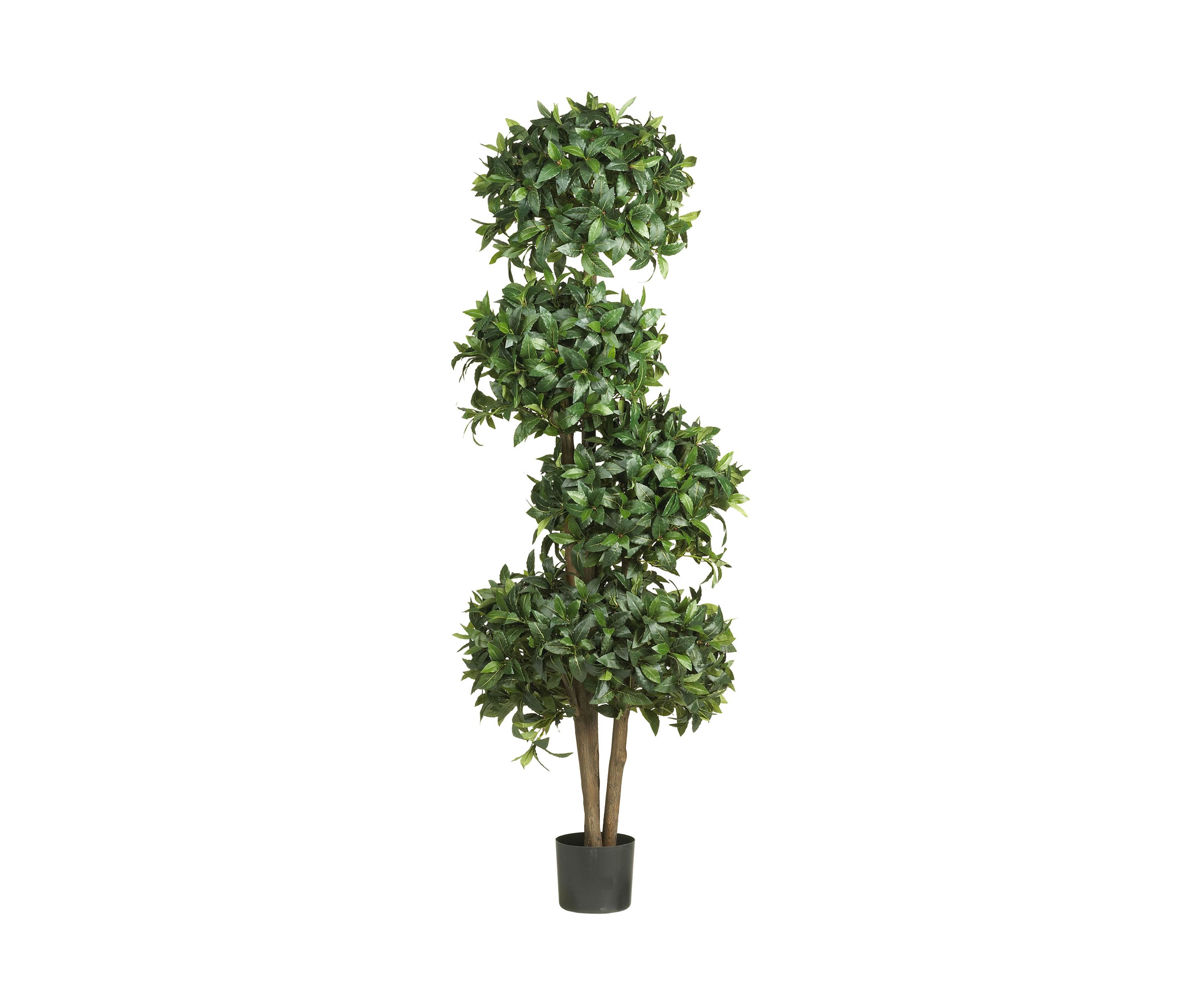 Sweet Bay Topiary with 4 Balls Silk Tree