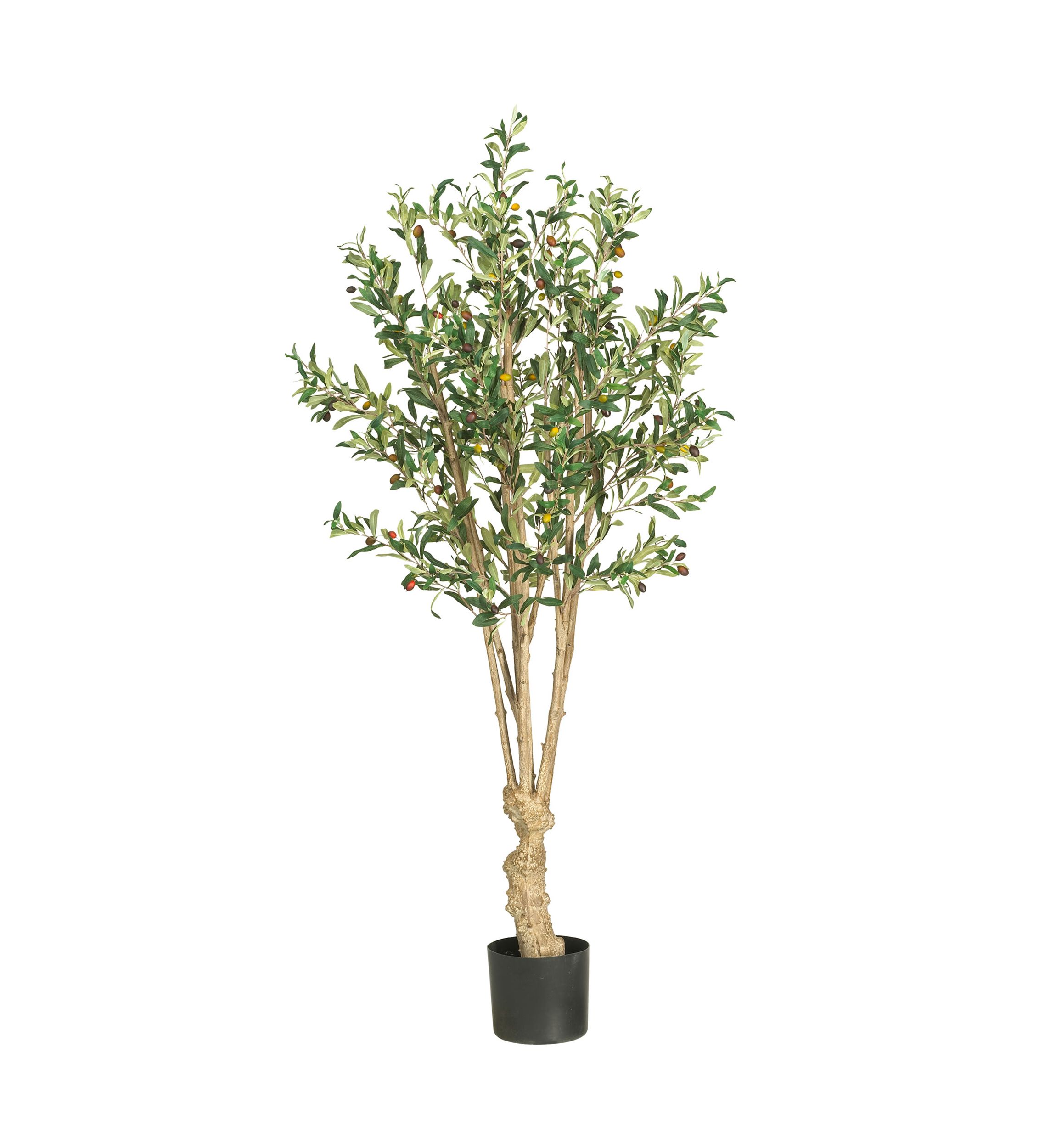 5-Foot Olive Silk Tree