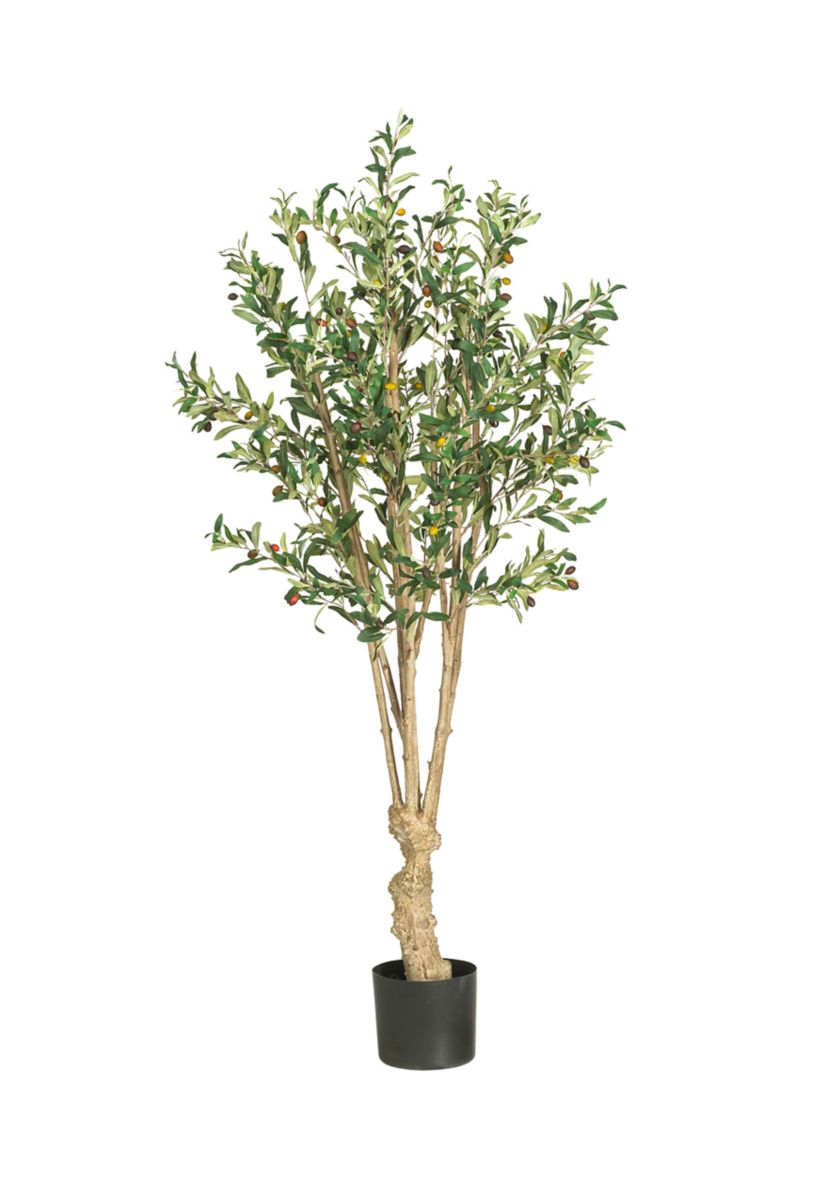 5-Foot Olive Silk Tree