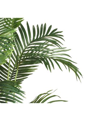 6-Foot Paradise Palm