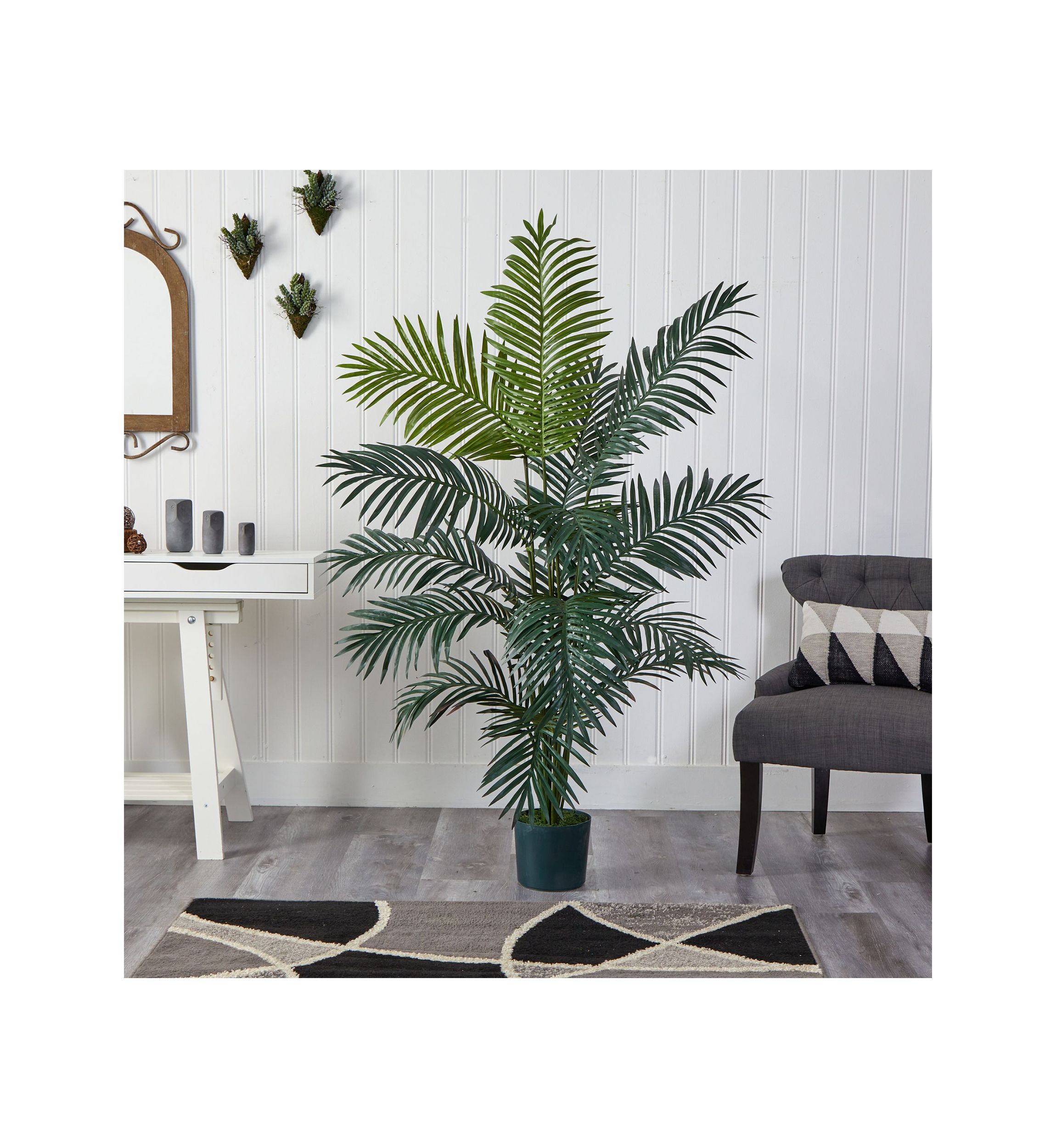 6-Foot Paradise Palm