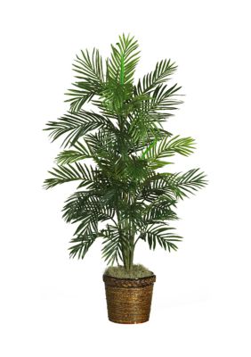 56-Inch Areca Palm Silk Tree with Basket