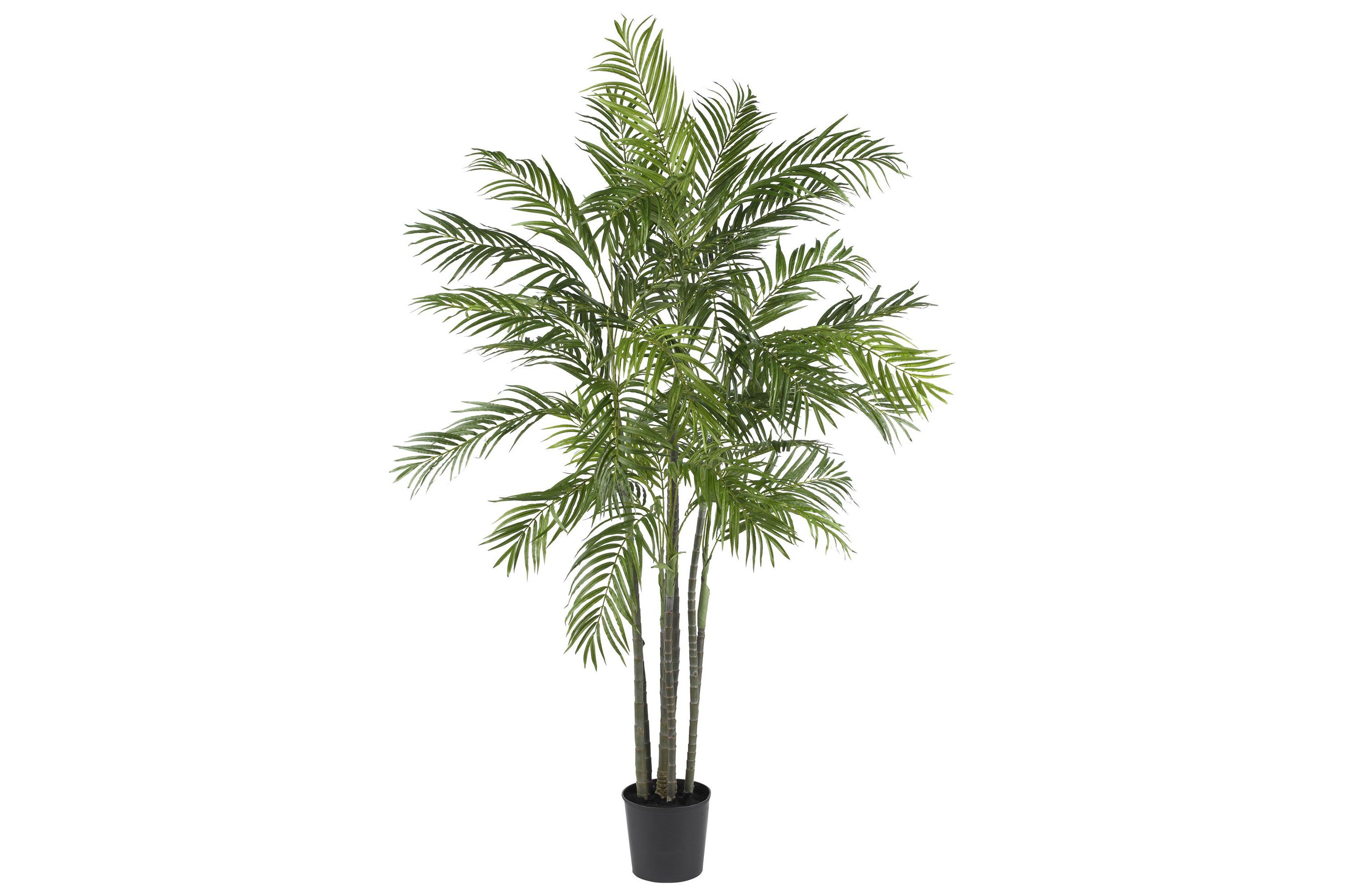6-Foot Areca Palm Silk Tree