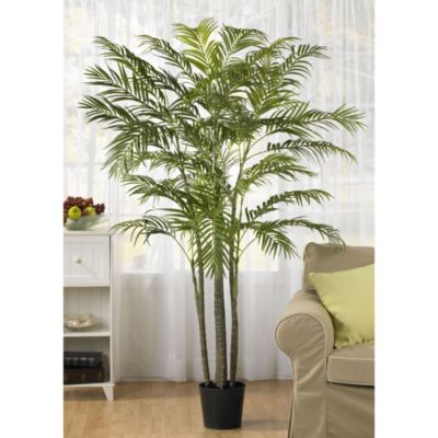 6-Foot Areca Palm Silk Tree