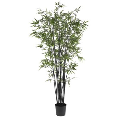 6.5-Foot Black Bamboo Silk Tree