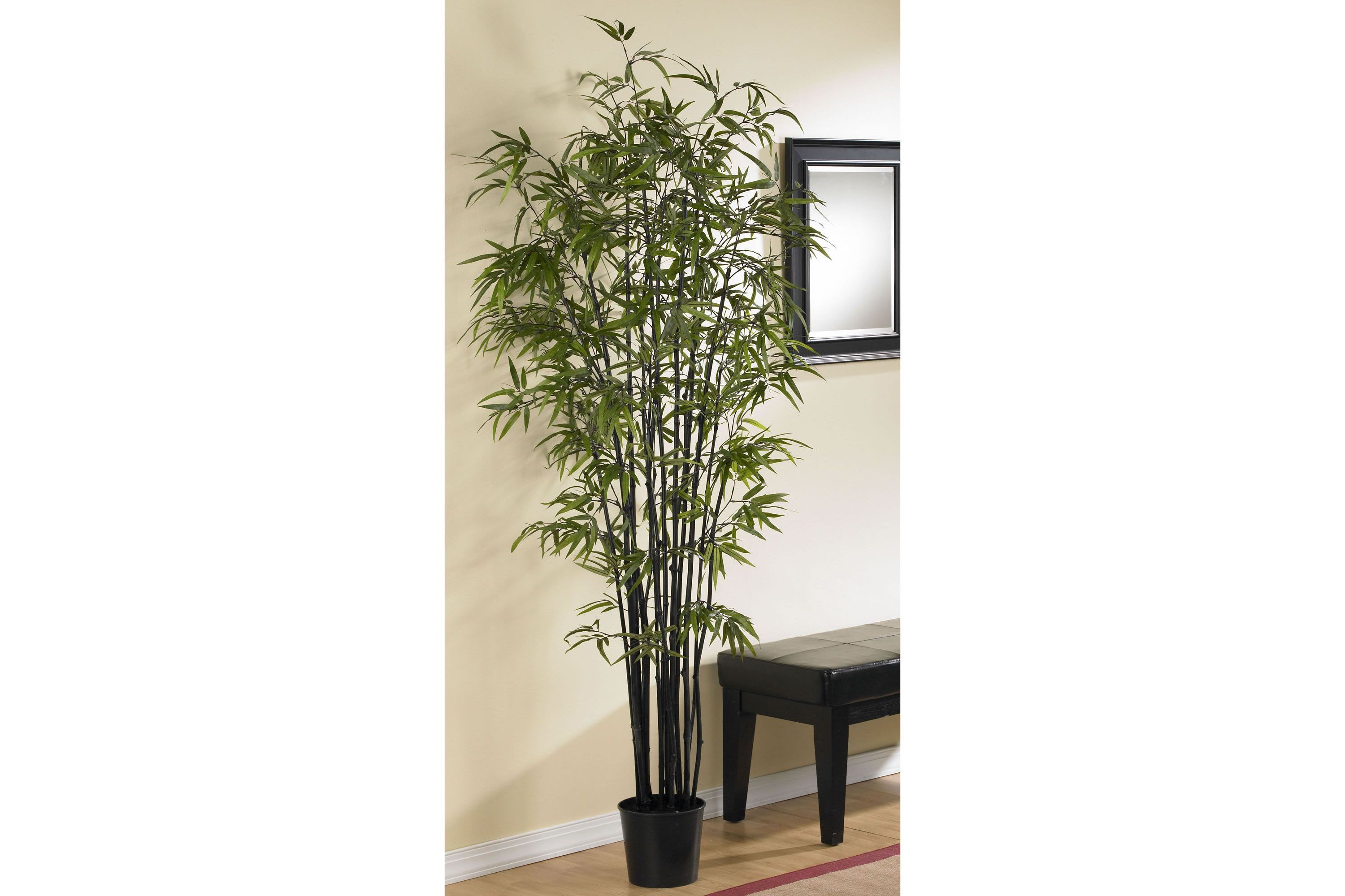 6.5-Foot Black Bamboo Silk Tree
