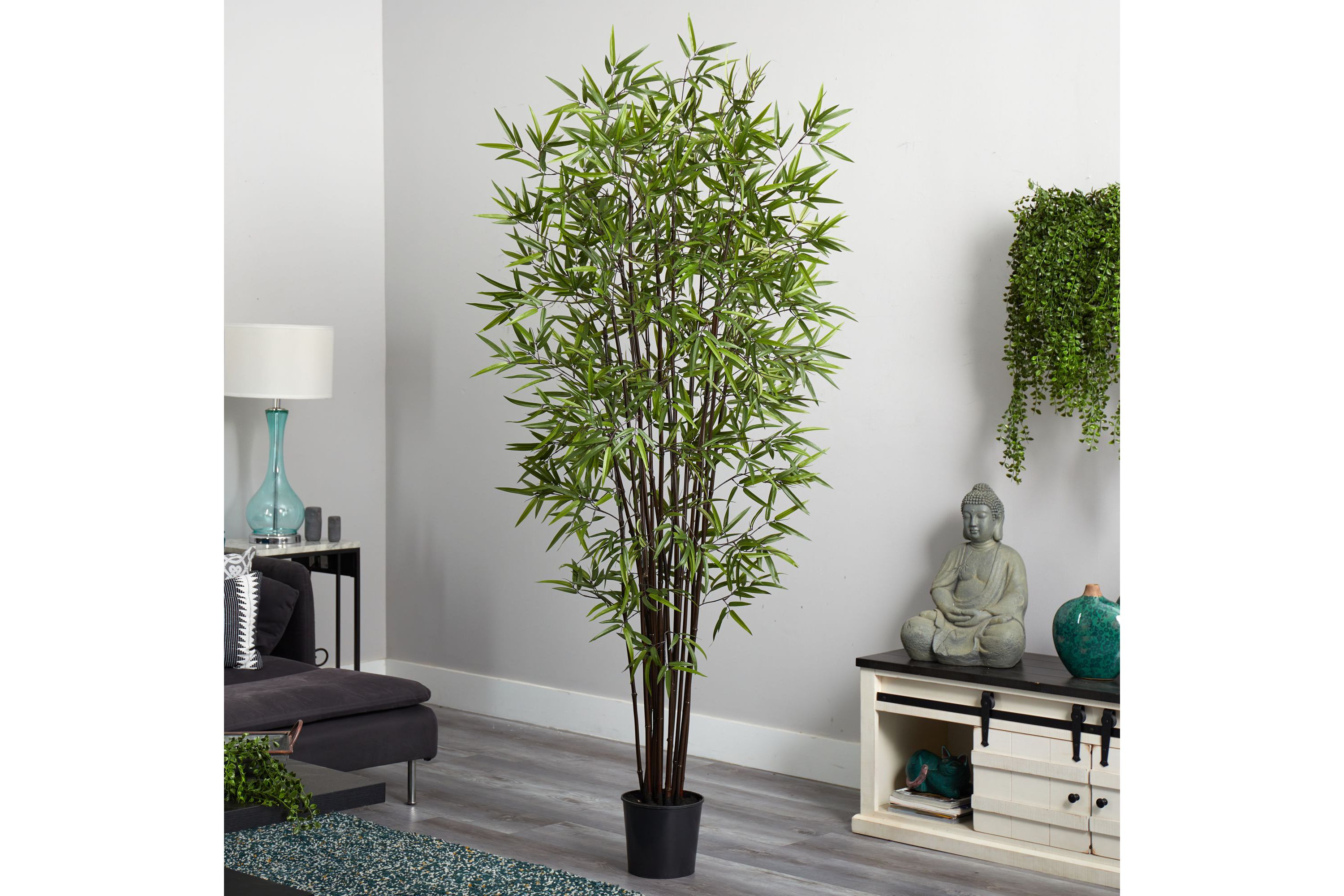 6.5-Foot Black Bamboo Silk Tree