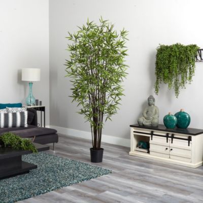 6.5-Foot Black Bamboo Silk Tree