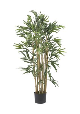 Multi Bambusa Bamboo Silk Tree