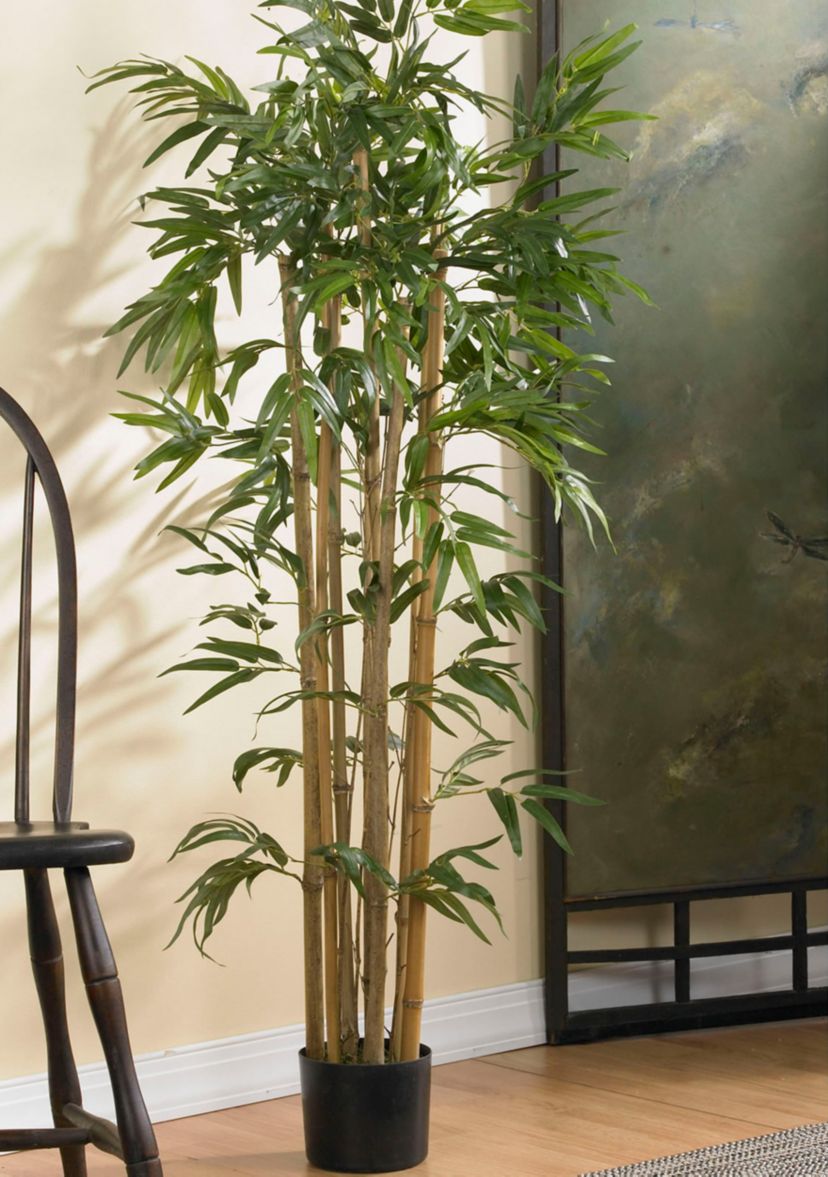 4-Foot Multi Bambusa Bamboo Silk Tree