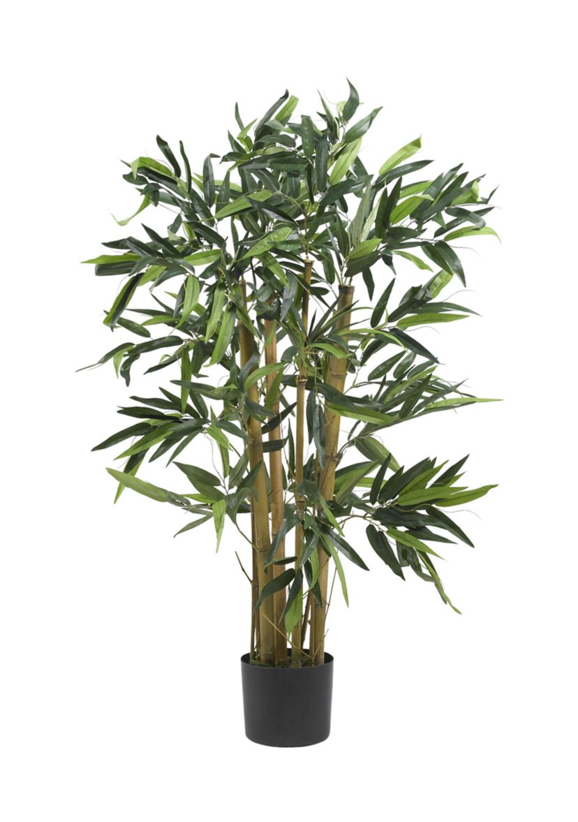 Biggy Bamboo Silk Tree