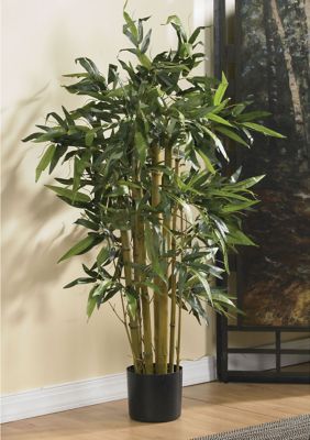 Biggy Bamboo Silk Tree