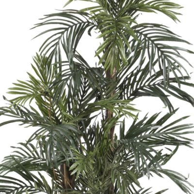 5-Foot Robellini Palm Silk Tree