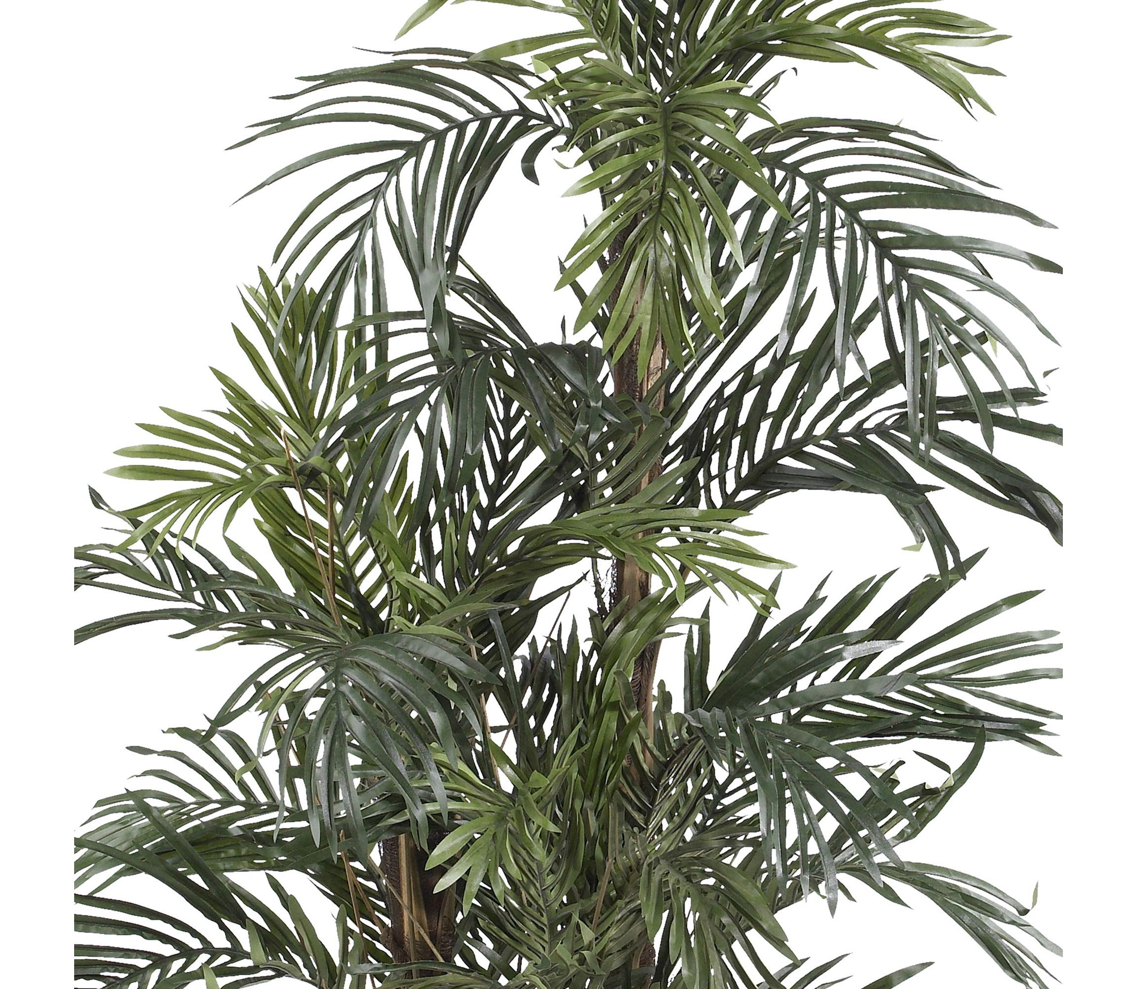 5-Foot Robellini Palm Silk Tree