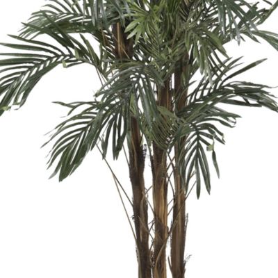 5-Foot Robellini Palm Silk Tree