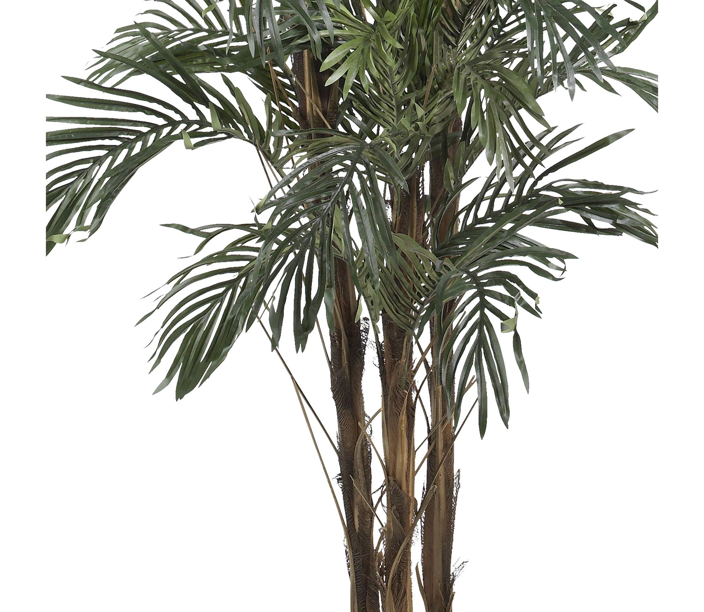 5-Foot Robellini Palm Silk Tree