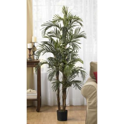 5-Foot Robellini Palm Silk Tree