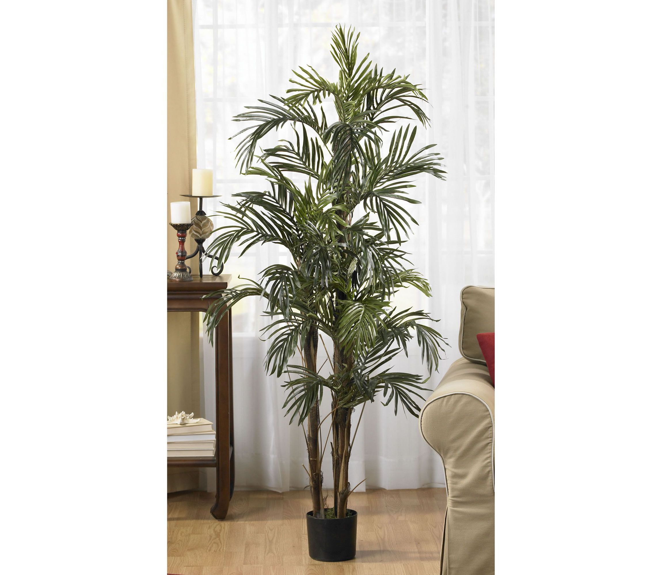 5-Foot Robellini Palm Silk Tree