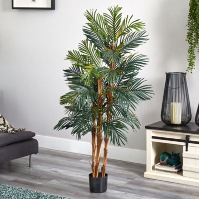 5-Foot Robellini Palm Silk Tree