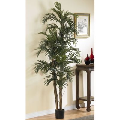 6-Foot Robellini Palm Silk Tree