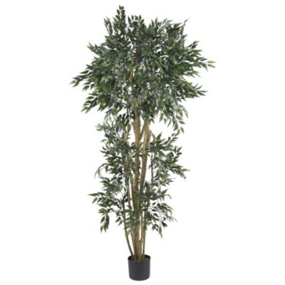 Nearly Natural 6-Foot Green Ash Silk Tree